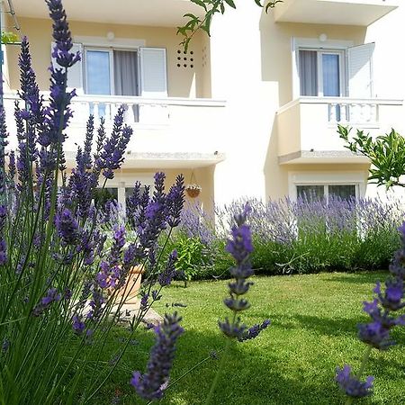 Apartment Branka Banjol Dış mekan fotoğraf